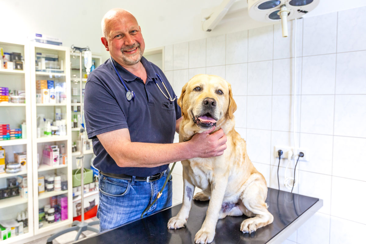 Tierarztpraxis Schwanewede Dr. Horstmann Behandlung Hund krank